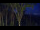 Webcam in Markgrafenheide, 26.8 km
