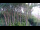 Webcam in Markgrafenheide, 8.1 km