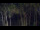 Webcam in Markgrafenheide, 6.4 km