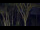 Webcam in Markgrafenheide, 19.3 km entfernt