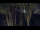 Webcam in Markgrafenheide, 6.4 mi away