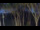 Webcam in Markgrafenheide, 26.7 km