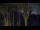 Webcam in Markgrafenheide, 7.1 km