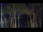 Webcam in Markgrafenheide, 4.5 km entfernt