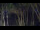 Webcam in Markgrafenheide, 5.3 km