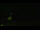 Webcam in Markgrafenheide, 3.2 mi away