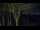 Webcam in Markgrafenheide, 5.2 km entfernt