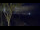 Webcam in Markgrafenheide, 8.3 km
