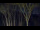 Webcam in Markgrafenheide, 13.9 km