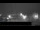 Webcam in Weißenstadt, 7.5 km