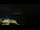 Webcam in Åndalsnes, 57.4 km
