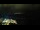 Webcam in Åndalsnes, 169.6 km