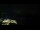 Webcam in Åndalsnes, 373.5 km
