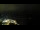 Webcam in Åndalsnes, 189.6 km