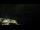 Webcam in Åndalsnes, 103 km entfernt