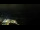 Webcam in Åndalsnes, 215.6 km entfernt