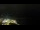Webcam in Åndalsnes, 58.5 mi away