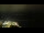 Webcam in Åndalsnes, 41.8 mi away