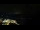 Webcam in Åndalsnes, 108.4 km