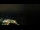 Webcam in Åndalsnes, 122.2 km entfernt