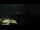 Webcam in Åndalsnes, 256.8 km