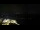 Webcam in Åndalsnes, 76.9 km