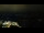 Webcam in Åndalsnes, 58.3 mi away
