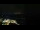 Webcam in Åndalsnes, 66 km entfernt