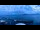 Webcam in Évian-les-Bains, 5.8 mi away
