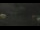 Webcam in Granville, 0.2 mi away