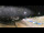 Webcam in Trévignon, 6.3 km