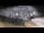 Webcam in Trévignon, 13.7 km entfernt