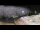 Webcam in Trévignon, 6.3 km