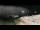 Webcam in Trévignon, 9.5 km