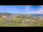 Webcam in Mandelieu-la-Napoule, 2.7 mi away