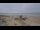 Webcam in Gouville-sur-Mer, 5.7 km