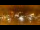 Webcam in Morzine, 4.6 km