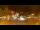Webcam in Morzine, 4.6 km