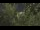 Webcam in Toulon, 3.2 mi away