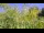 Webcam in Toulon, 7.3 mi away