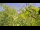 Webcam in Toulon, 5.4 mi away