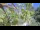 Webcam in Toulon, 7.3 mi away