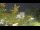Webcam in Toulon, 0.9 km