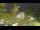 Webcam in Toulon, 0.9 km