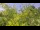Webcam in Toulon, 8.3 km entfernt