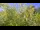 Webcam in Toulon, 8.3 km entfernt