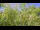 Webcam in Toulon, 8.3 km