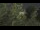 Webcam in Tolone, 2.7 km