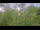 Webcam in Toulon, 3.2 mi away