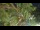 Webcam in Toulon, 7.3 mi away